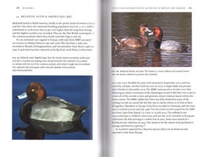 Wildfowl of Britain and Ireland.