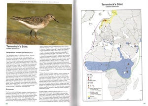 An atlas of wader populations in Africa and western Eurasia.