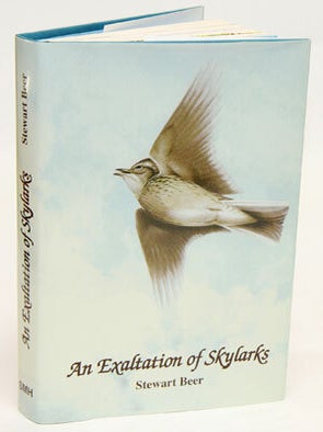 Stock ID 30339 An exaltation of Skylarks. Stewart Beer