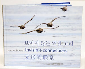 Stock ID 30361 Invisible connections: why migrating shorebirds need the Yellow Sea. J. van de Kam