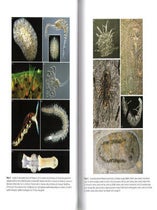 Animal evolution: genomes, fossils and trees.
