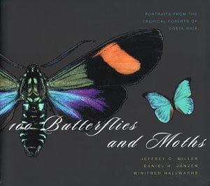 100 Butterflies and Moths: portraits from the tropical forests of Costa Rica. Jeffrey C. Miller, Daniel H.