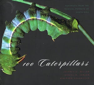 Stock ID 30482 100 Caterpillars: portraits from the tropical forests of Costa Rica. Jeffrey C. Miller, Daniel H. Janzen, Winifred Hallwachs.