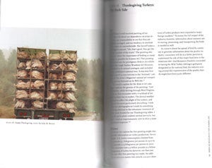Humans, nature, and birds: science art from cave walls to computer screens.