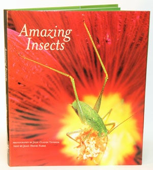 Amazing insects: the secret world of invertebrates. Jean-Claude Teyssier.