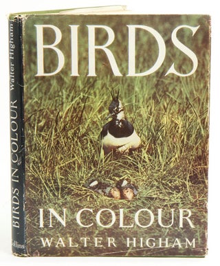 Stock ID 30603 Birds in colour. Walter E. Higham