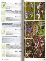Field guide to wild flowers of South Africa.