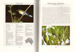 The robins and flycatchers of Australia.