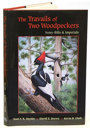 Stock ID 31112 Travails of two Woodpeckers: Ivory-bills and Imperials. Noel F. R. Snyder