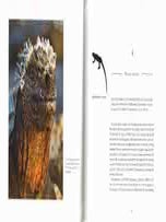 Galapagos: exploring Darwin's tapestry.
