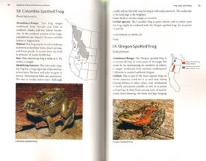 Guide and reference to the Amphibians of Western North America (North of Mexico) and Hawaii.