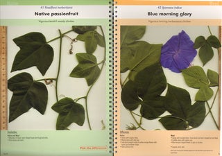 Native plant or weed: pick the difference, volume two.
