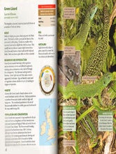 Britain's reptiles and amphibians: a guide to the reptiles and amphibians of Britain, Ireland and the Channel Islands.