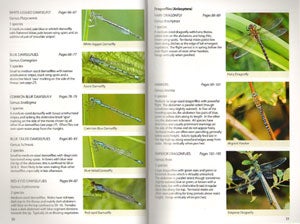 Britain's dragonflies: a field guide to the damselflies and dragonflies of Britain and Ireland.