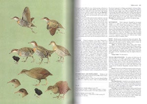 Handbook of Australian, New Zealand and Antarctic birds: Raptors to Lapwings [HANZAB, volume two].