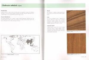Mahogany.