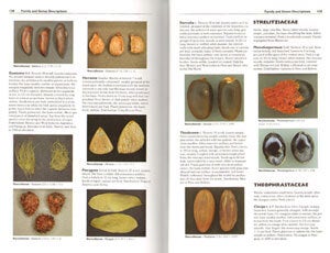 Seeds of Amazonian plants.