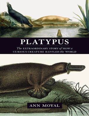 Stock ID 31408 Platypus: the extraordinary story of how a curious creature baffled the world. Ann Moyal.