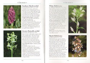 Naturalist's guide to the wild flowers of Britain and Northern Europe.