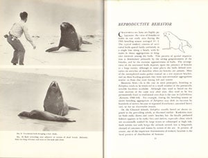 The natural history and behaviour of the California Sea Lion.