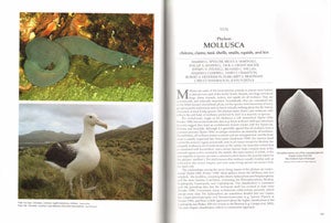 New Zealand inventory of biodiversity, volume one: Kingdom Animalia: Radiata, Lophotrochozoa, Deuterotomia.