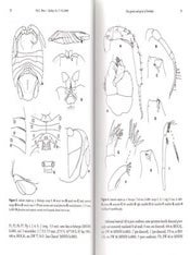 Advances in the taxonomy and biogeography of crustacea in the Southern Hemisphere.