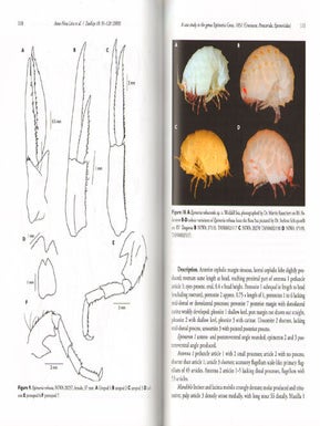 Advances in the taxonomy and biogeography of crustacea in the Southern Hemisphere.