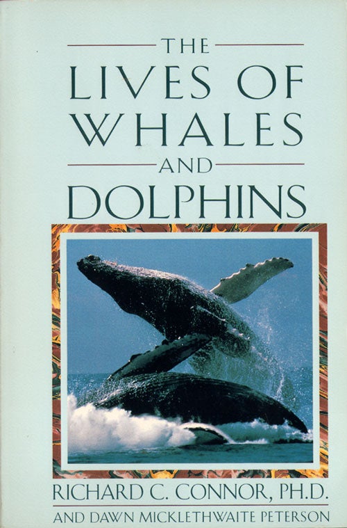 Stock ID 31680 The lives of whales and dolphins. Richard C. Connor, Dawn Micklethwaite Peterson.
