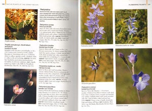 Native plants of the Sydney region: from Newcastle to Nowra and west to the Dividing Range.