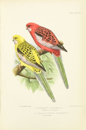 Parrakeets: a handbook to the imported species.