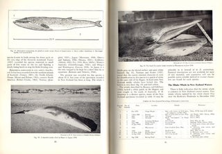 The New Zealand Cetacea.