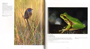ANZANG seventh collection: Australian nature photography.