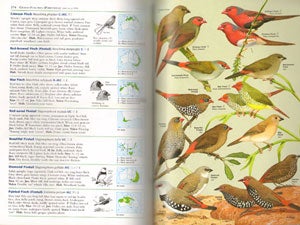 Field guide to the birds of Australia.