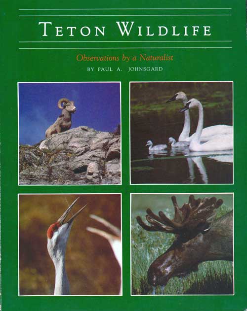 Stock ID 3215 Teton wildlife: observations by a naturalist. Paul A. Johnsgard.