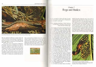 Hunters in the trees: a natural history of arboreal Snakes.