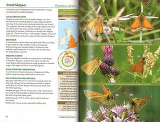 Britain's butterflies: a field guide to the butterflies of Britain and Ireland.