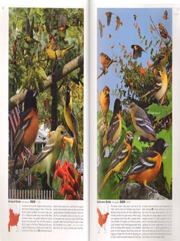 The Crossley ID guide: eastern birds.