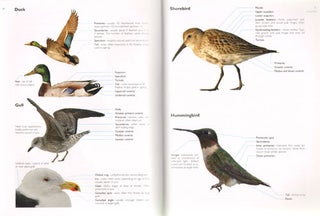 The Crossley ID guide: eastern birds.