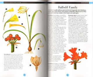 Flowering plants: a concise pictorial guide.
