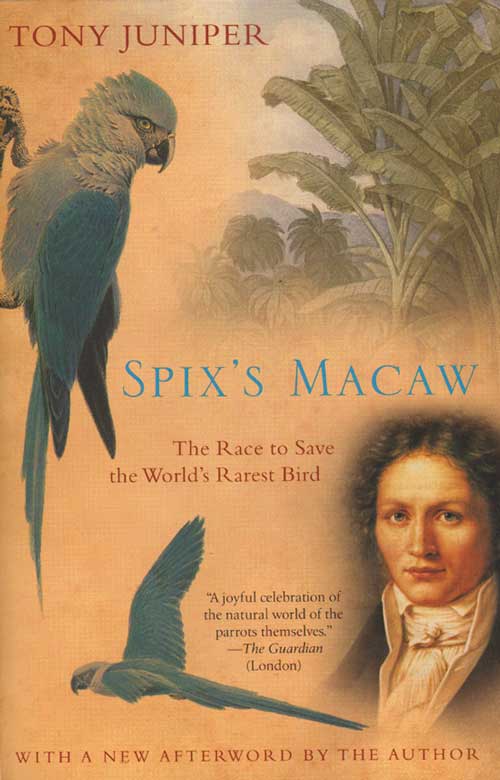 Stock ID 32600 Spix's macaw: the race to save the world's rarest bird. Tony Juniper.