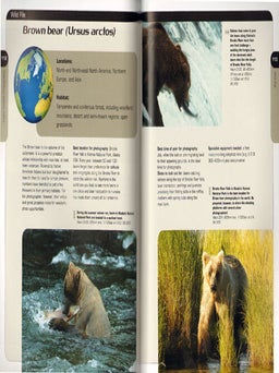 Digital wildlife photography.