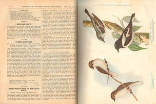 Gould league of bird lovers of New South Wales [supplements one to eleven]