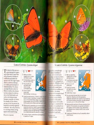 Butterflies of Britain and Europe: a photographic guide.