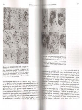 Biology of the Red algae.