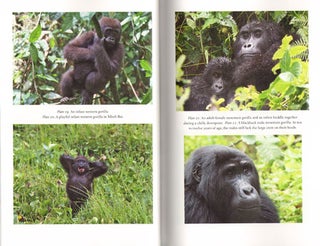 Among African apes: stories and photos from the field.