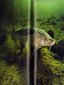 Freshwater: the essence of life.