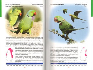 Common birds of Qatar.