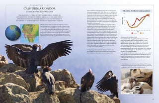 Endangered birds: a survey of planet earth's changing ecosystems
