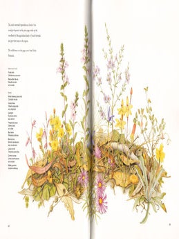 Nature revealed: an artist's view of the wildflowers of South Australia.