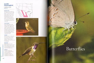 Hummingbirds and butterflies.